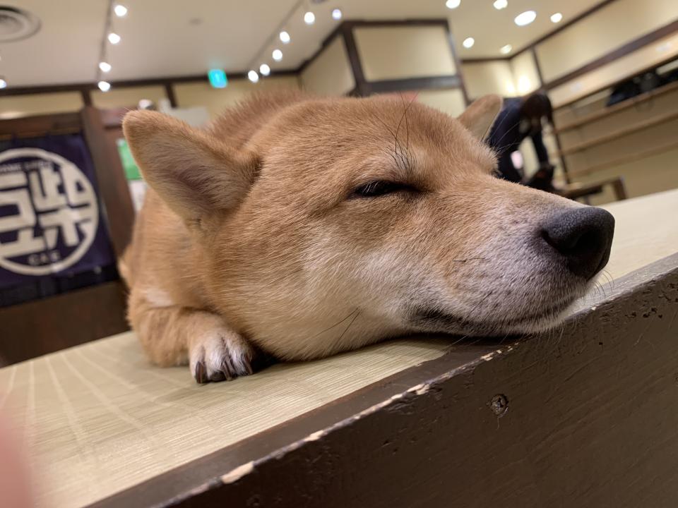 NowLoading...