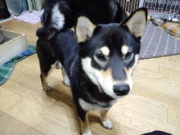 NowLoading...