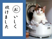 NowLoading...