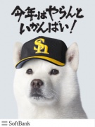 NowLoading...