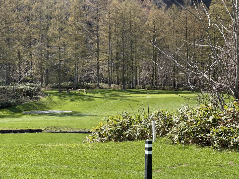 NowLoading...