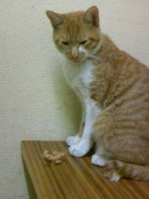 NowLoading...