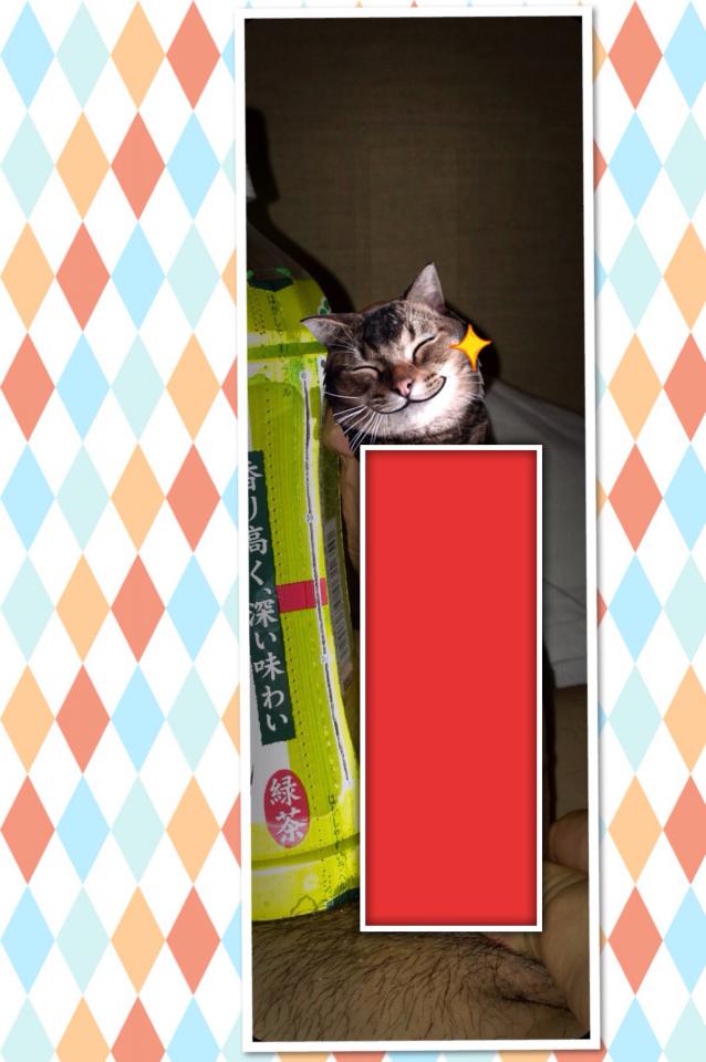 NowLoading...