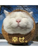 NowLoading...