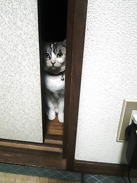 NowLoading...