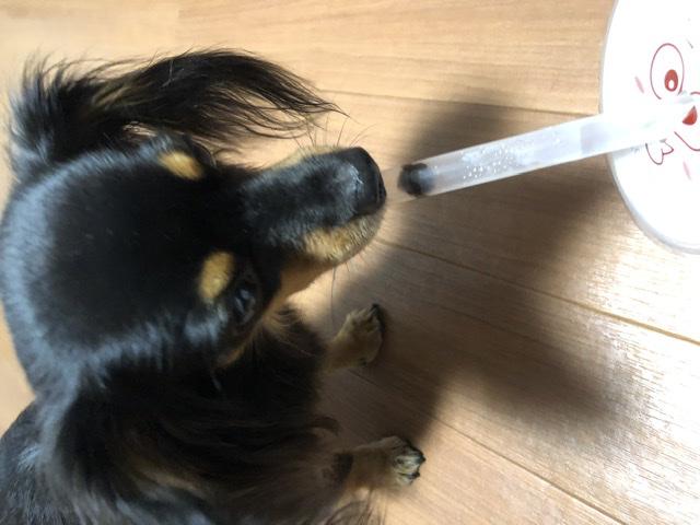 NowLoading...