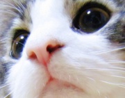 NowLoading...