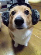 NowLoading...