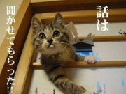NowLoading...