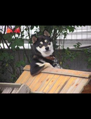 NowLoading...