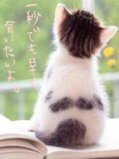 NowLoading...