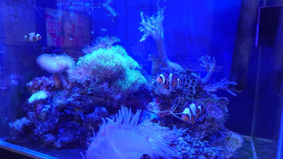 NowLoading...