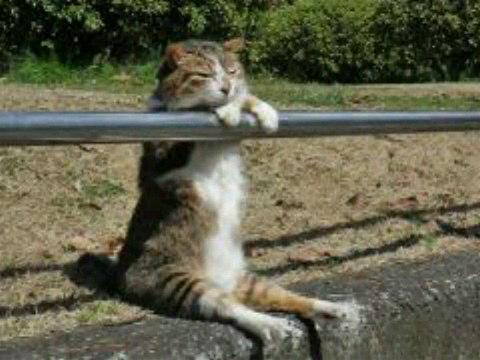 NowLoading...