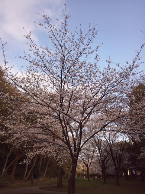 NowLoading...
