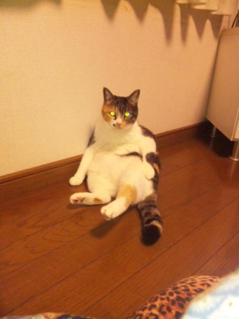 NowLoading...