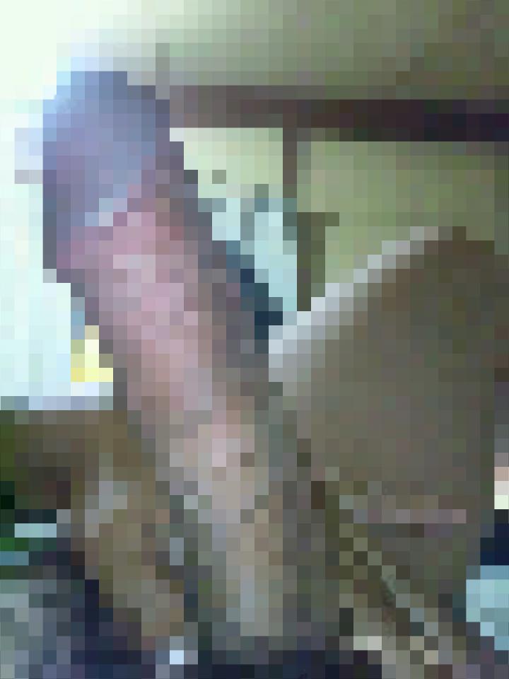 NowLoading...