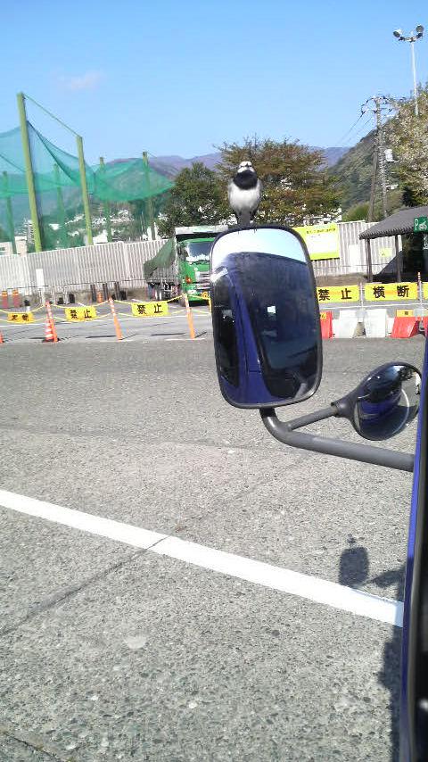 NowLoading...