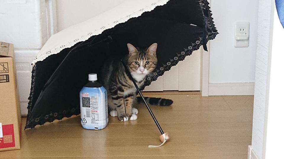 NowLoading...