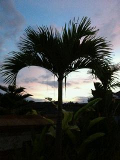 NowLoading...
