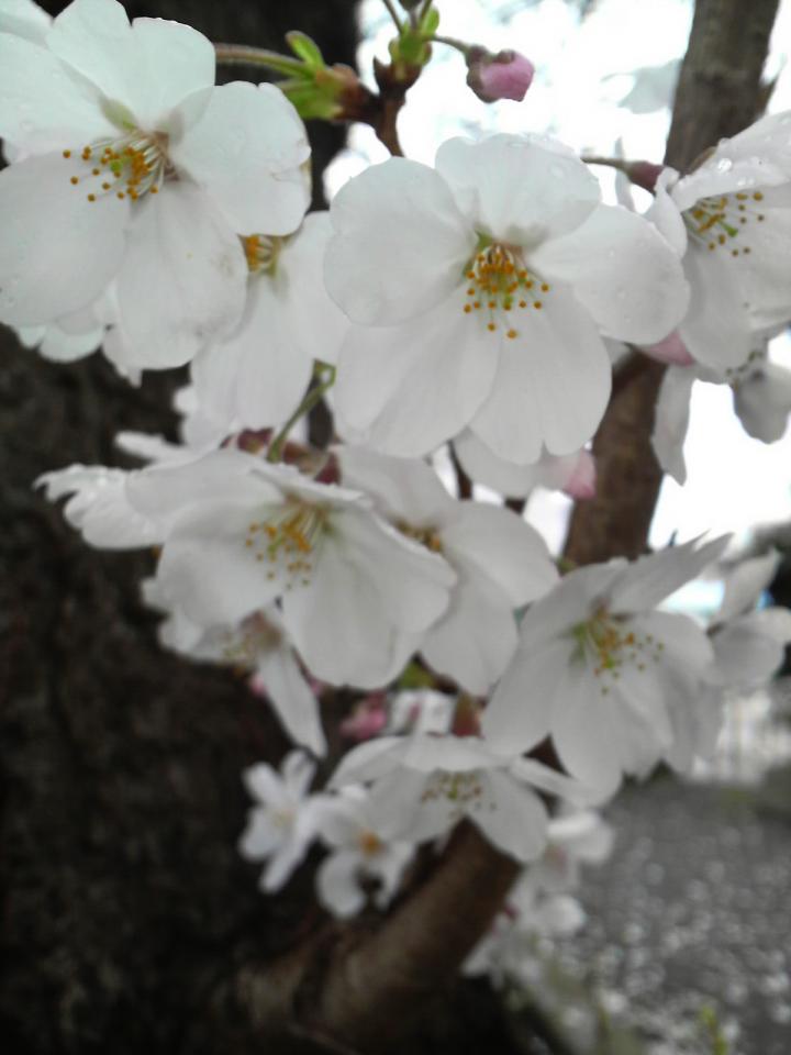 NowLoading...
