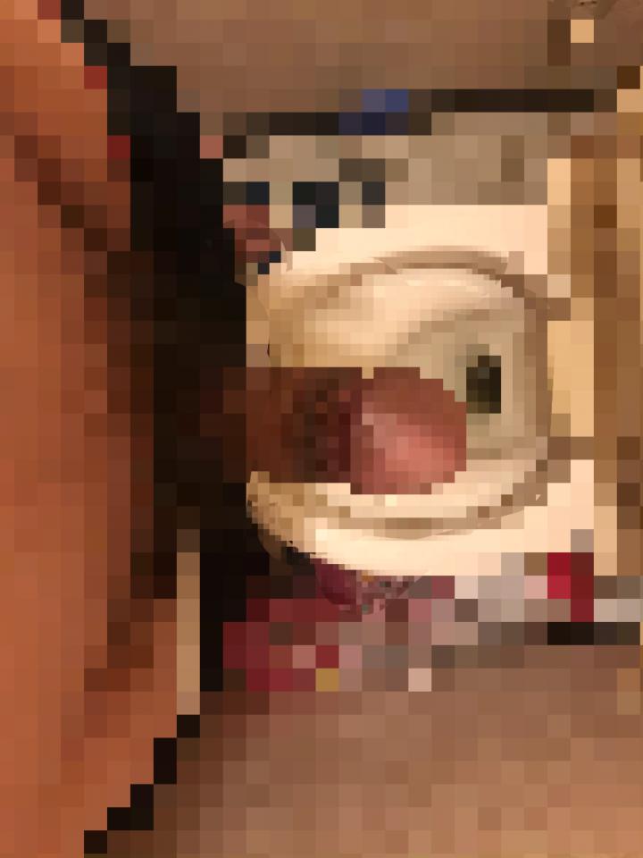 NowLoading...