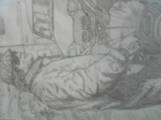 NowLoading...