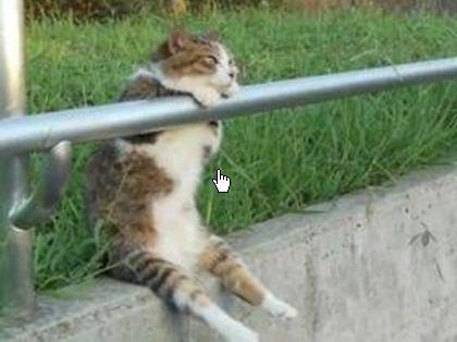 NowLoading...