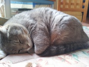 NowLoading...