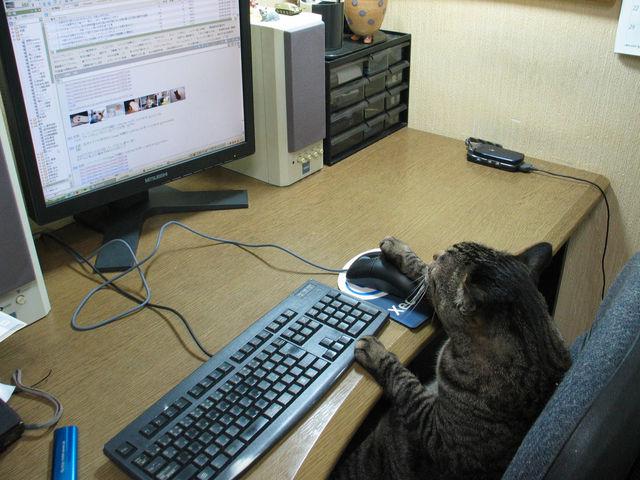 NowLoading...