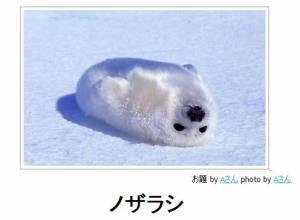 NowLoading...