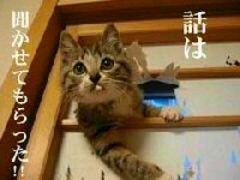 NowLoading...
