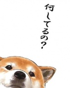 NowLoading...