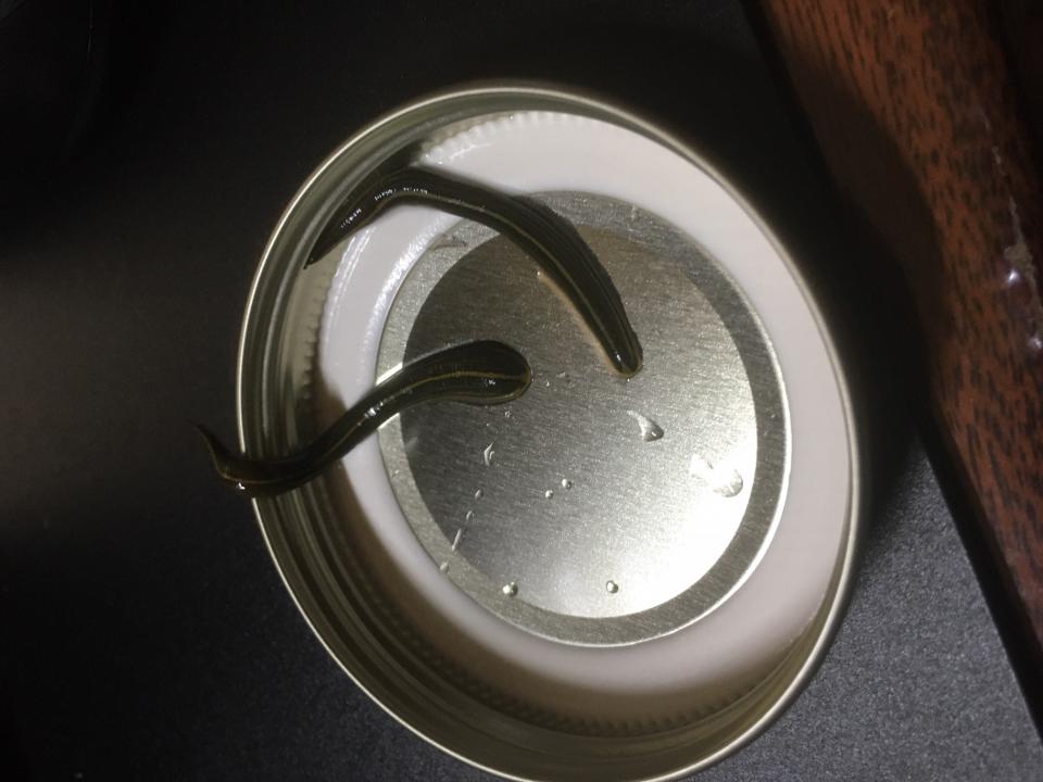 NowLoading...