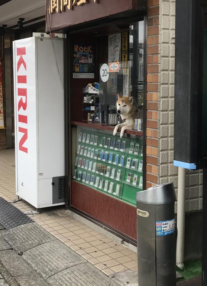 NowLoading...