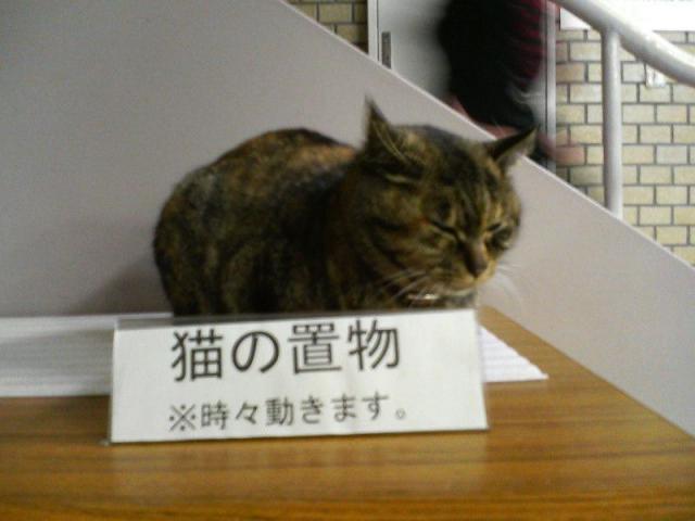 NowLoading...