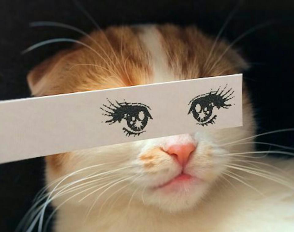 NowLoading...