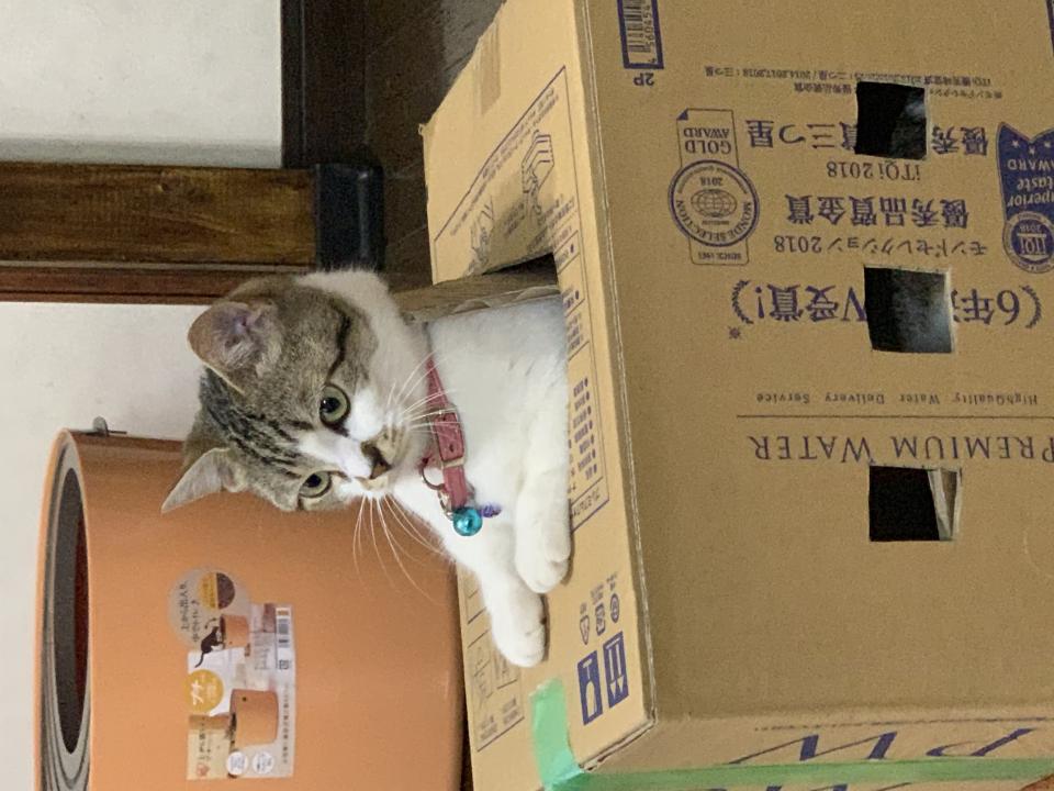 NowLoading...