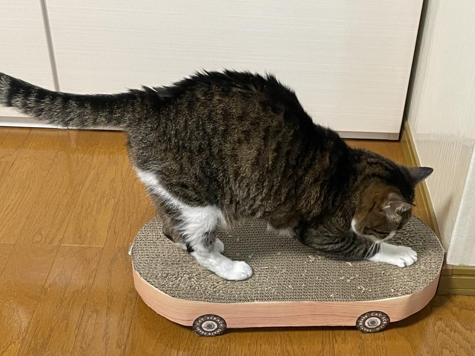 NowLoading...