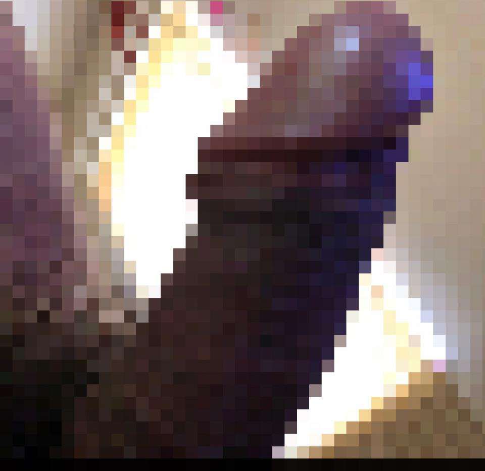 NowLoading...