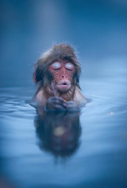 NowLoading...