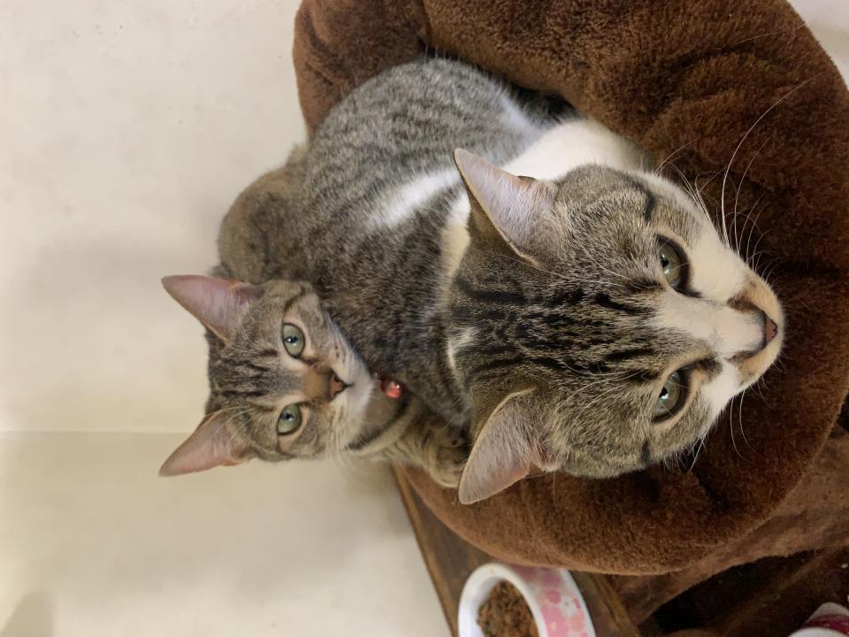 NowLoading...