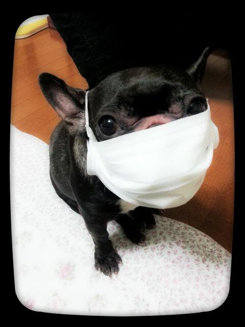 NowLoading...