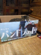 NowLoading...