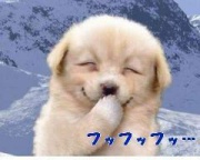 NowLoading...