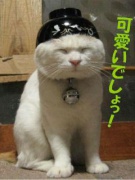 NowLoading...
