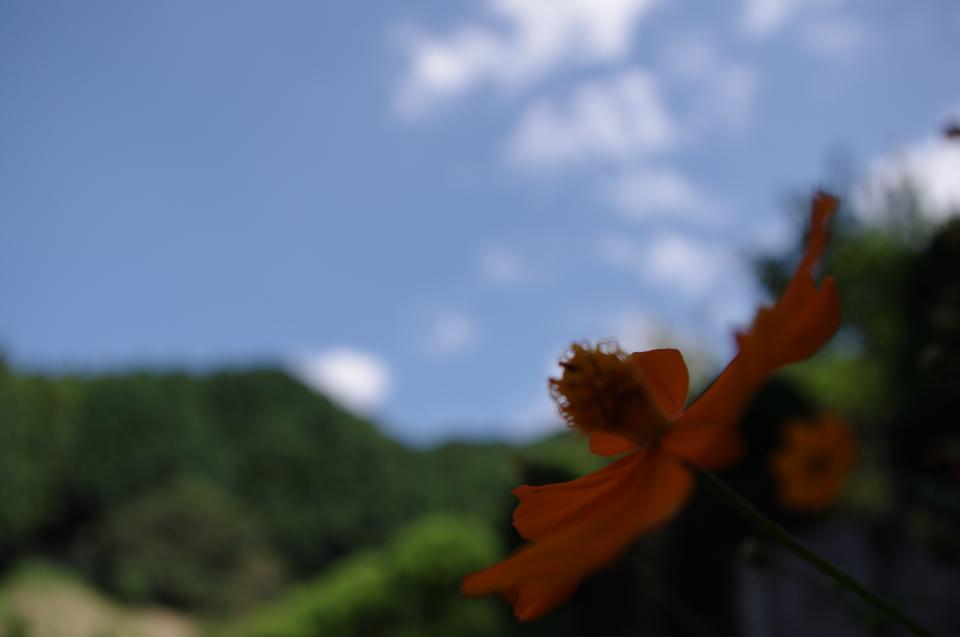 NowLoading...