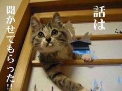 NowLoading...