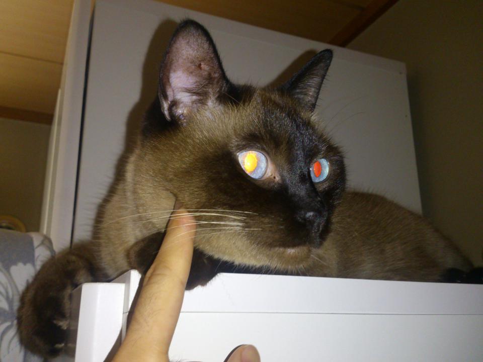 NowLoading...