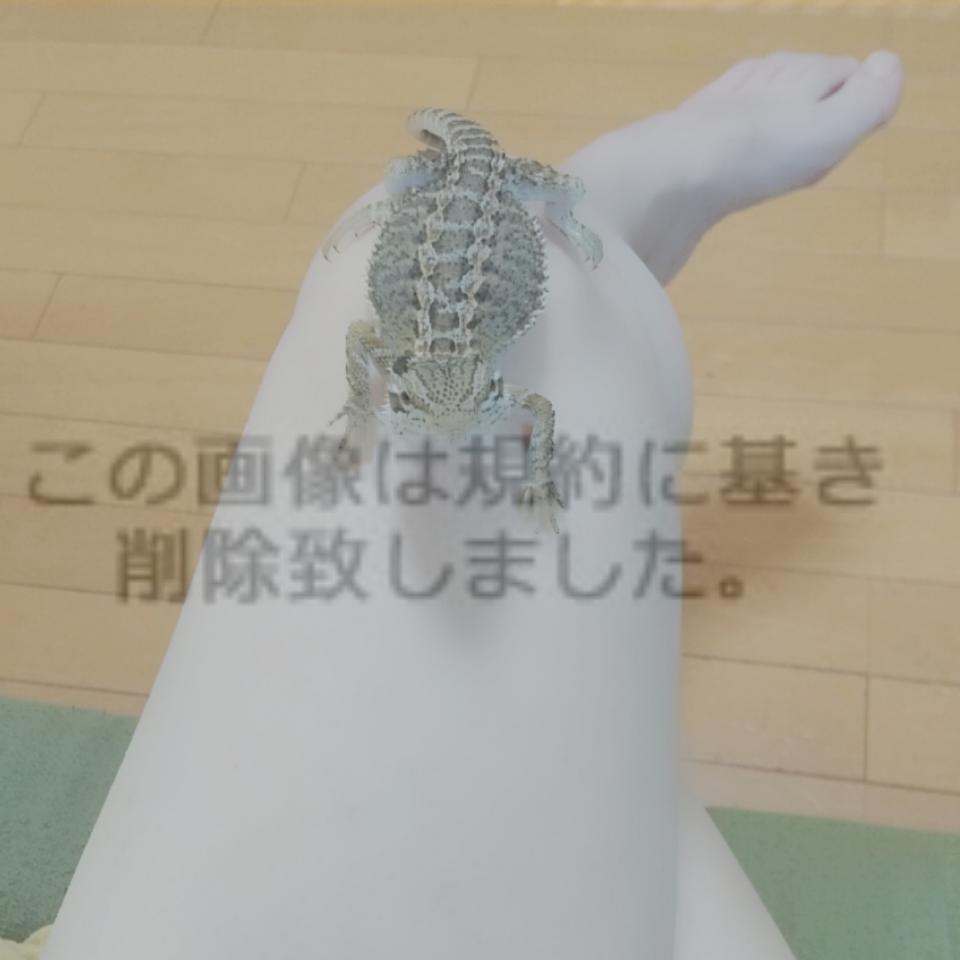 NowLoading...