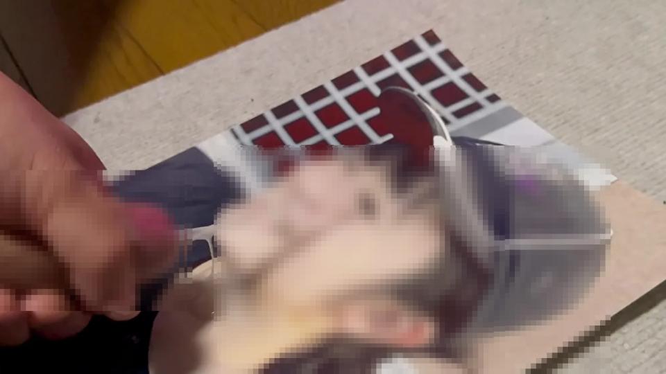 NowLoading...